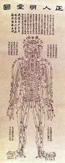 Full Prints: Chinese Acupuncture Chart, 1906