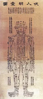 Chart Prints: Chinese Acupuncture Chart, 1906