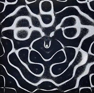 Plate Prints: Chladni Oscillations on Metal Plate
