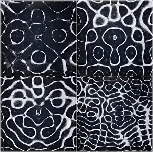 Pattern Prints: Chladni Oscillations on Metal Plate