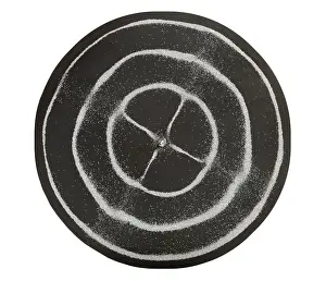 Pattern Prints: Chladni Oscillations on Metal Plate