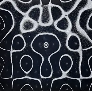 Plate Prints: Chladni Oscillations on Metal Plate