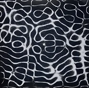 Best Sellers Part IV Prints: Chladni Oscillations, Sand On Metal Plate, Physics