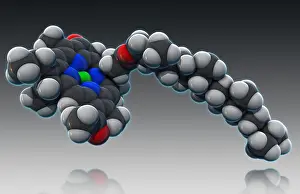 Atomic Prints: Chlorophyll, Molecular Model