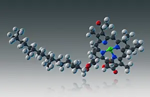 Atomic Prints: Chlorophyll, Molecular Model