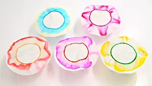 Pigment Prints: Chromatography Flowers