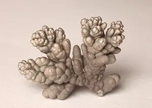 Crystal Prints: Chromium