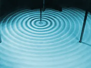 Circle Prints: Circular Ripples