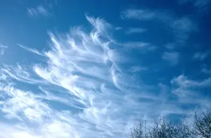 Formation Prints: Cirrus Cloud