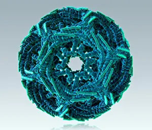 Transport Prints: Clathrin Cage, Molecular Model