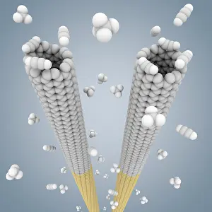 Scale Prints: Cloning Carbon Nanotubes