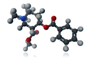Atomic Prints: Cocaine Molecular Model