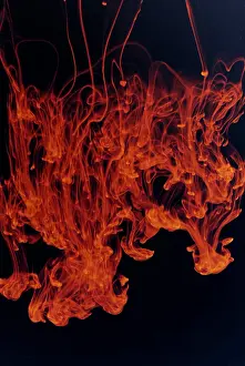 Chaos Prints: Colored Ink Drops Falling Into Water