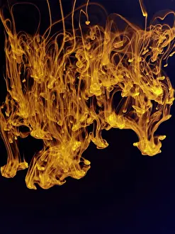 Chaos Prints: Colored Ink Drops Falling Into Water