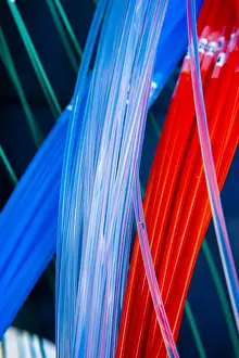 Research Prints: Colorful Lab Tubes