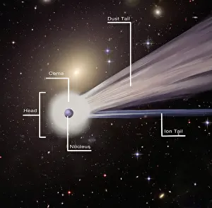 Science Source Collection Prints: Comet with Parts Labeled