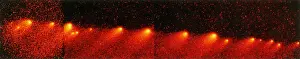 Telescope Prints: Comet Shoemaker-Levy 9