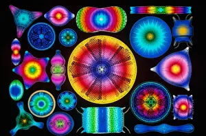 Algae Prints: Computer Enhanced Diatoms