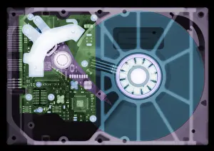 Computers Prints: Computer Hard Drive, X-ray