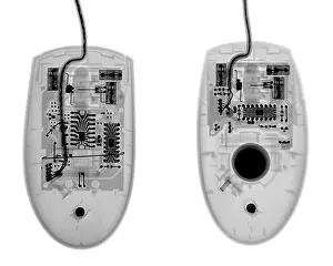 Radiographs Prints: Computer Mouses