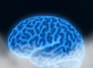 Thought Prints: Conceptual Brain, Illustration