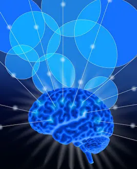 Medical Prints: Conceptual Brain, Illustration
