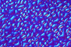 Drop Prints: Condensation under a microscope