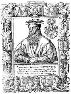 Animalium Prints: Conrad Gessner, Swiss Botanist and Zoologist