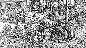 Practice Prints: Consultation on German Herbarium, 16th Century