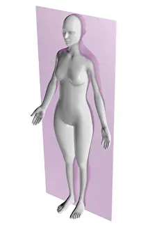 Body Prints: Coronal Plane