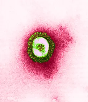 Pathogen Prints: Coronavirus, TEM