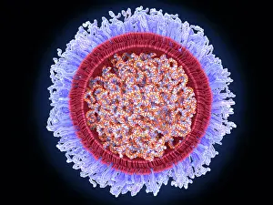 Pathological Prints: The COVID-19 mRNA vaccine