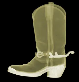 Cowboy Prints: Cowboy Boot, X-Ray