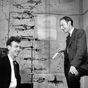 Crick & Watson with their DNA model, 1953