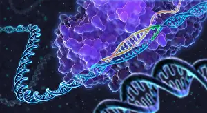 Concept Prints: CRISPR Genome Editing