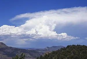 Cloud Prints: Cumulonimbus Clouds
