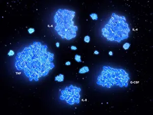Prints: Cytokine Storm