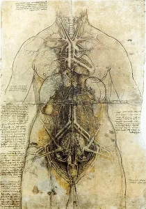 Front Prints: Da Vinci Female Anatomical Study, 1507