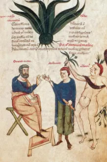 10th Prints: 'De Medicina', 1st Century Medical Treatise