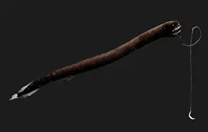 Creature Prints: Deep-Sea Dragonfish