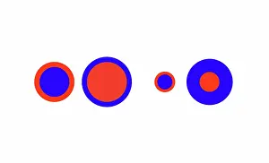 Illusion Prints: Delboeuf Optical Illusion