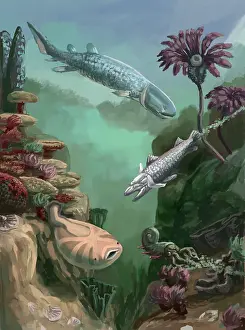 Flora Prints: Devonian Period