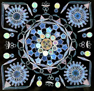 Science Source Collection Prints: Diatoms under a microscope