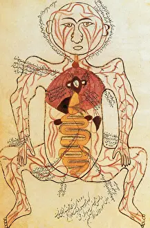 Text Prints: Digestive and Arterial Systems, 15th Century