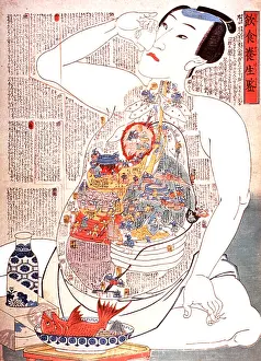 Medical Prints: Digestive System, 19th Century