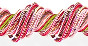Science Source Collection Prints: A digital streak image of pink carnation flowers