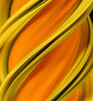 Spirals Prints: A digital streak image of a squash