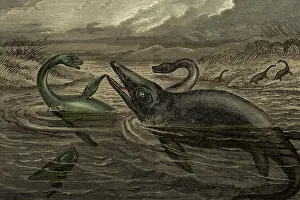 Prehistoric Prints: Dinosaur-Like Reptiles Swimming, Illustration