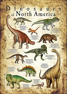 Natural History Misc Prints: Dinosaurs of North America