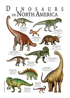 Natural History Misc Prints: Dinosaurs of North America